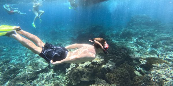 Nusa Penida Snorkeling Trip  - Shared Package