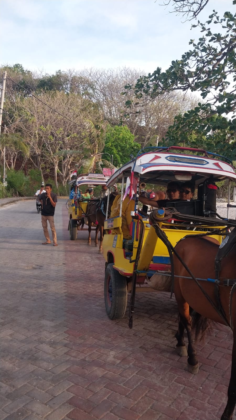Gili Island Jetty to Hotel Transfer by CIDOMO (Horse Cart Transport)