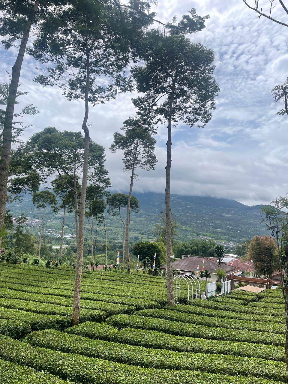 tour-dieng-sunrise-wisata-budaya-dari-yogyakarta-3