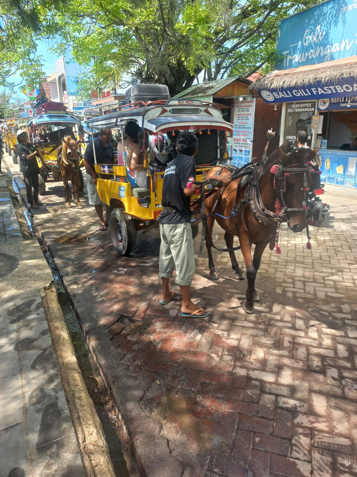 gili-island-jetty-to-hotel-transfer-by-cidomo-horse-cart-transport-3