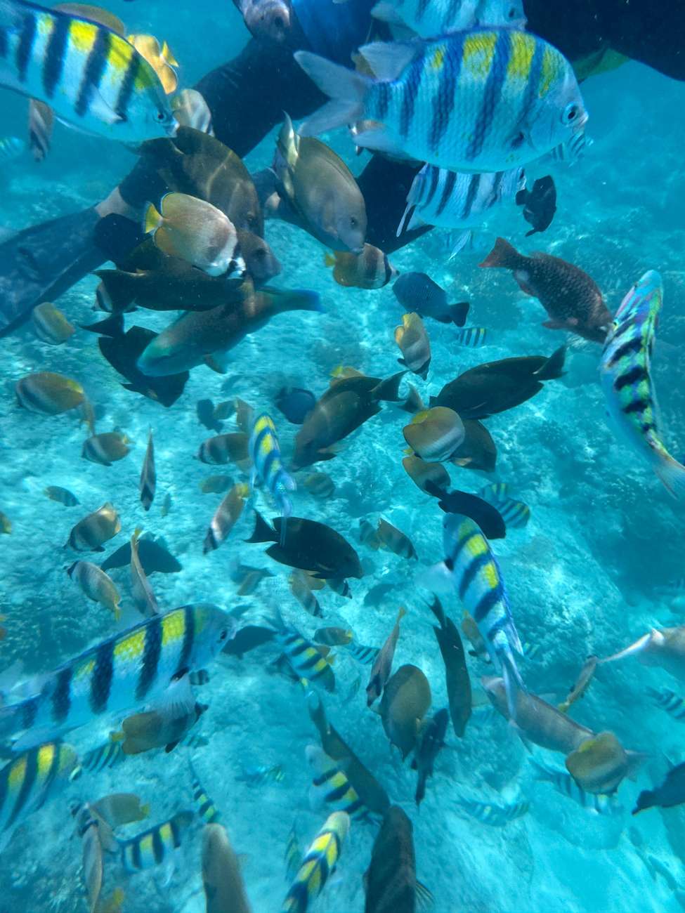 bali-blue-lagoon-snorkeling-kanto-lampo-waterfall-tour-with-lunch-4