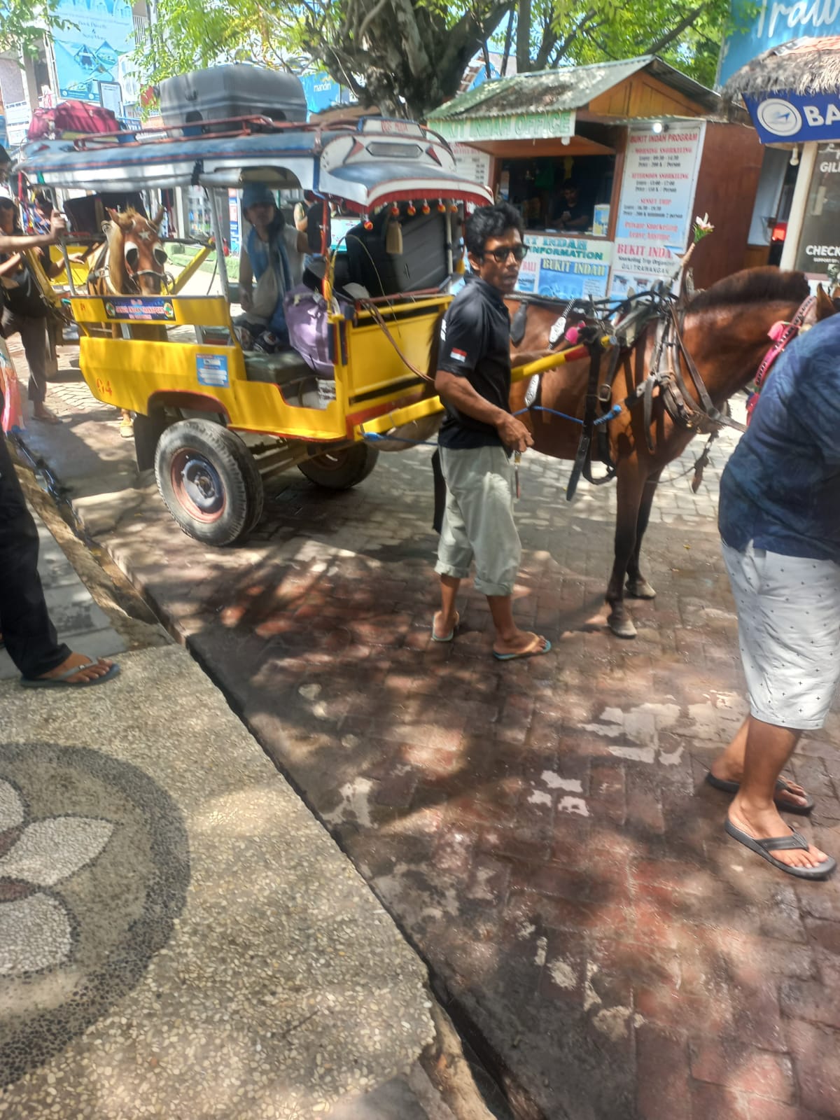 gili-island-jetty-to-hotel-transfer-by-cidomo-horse-cart-transport-4