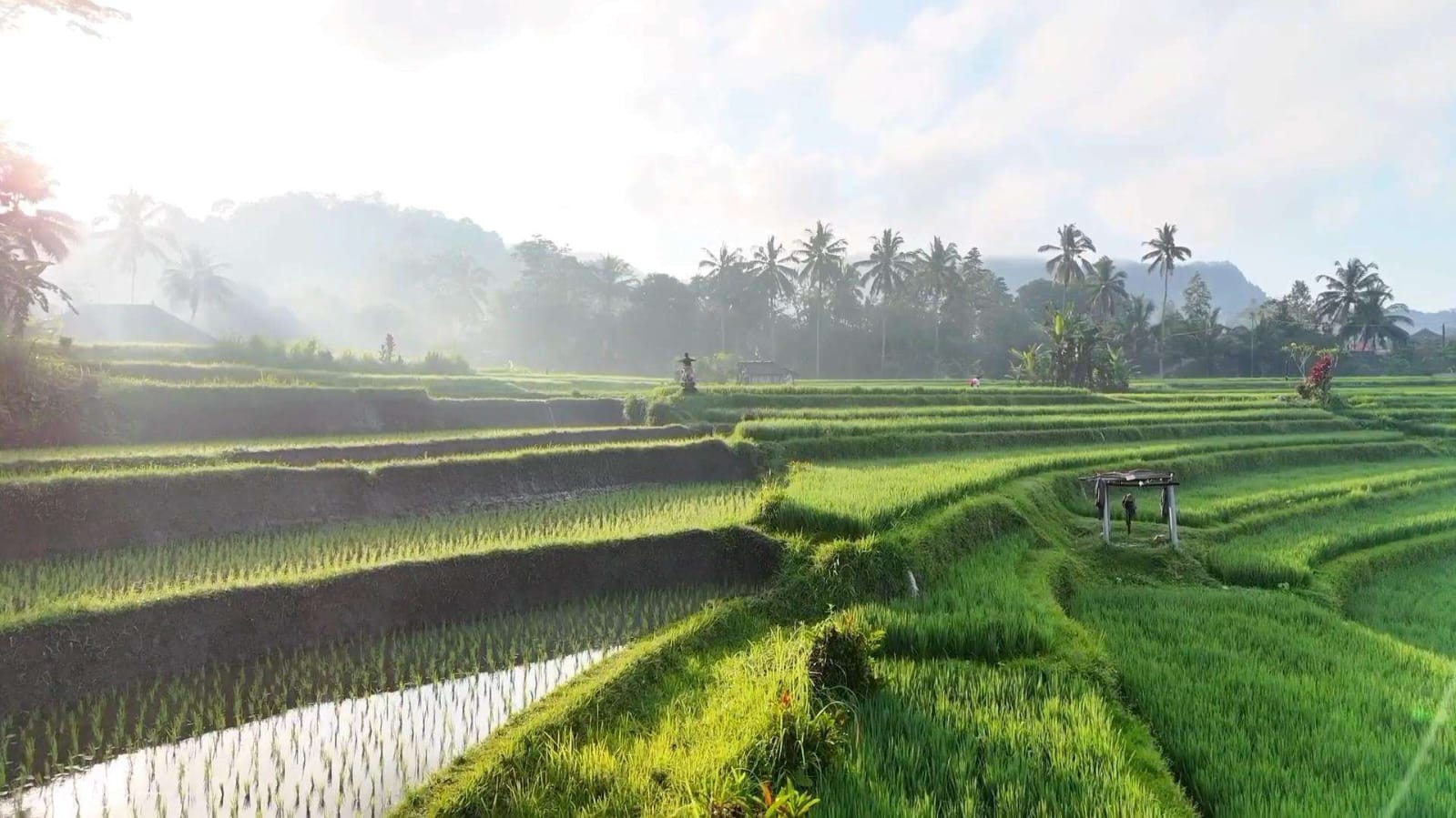 sidemen-bali-full-day-tour-rice-terrace-swing-waterfall-cultural-experience-6